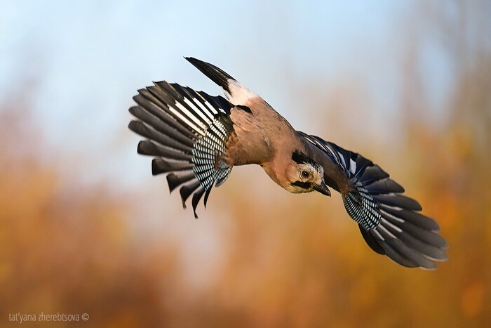 �����