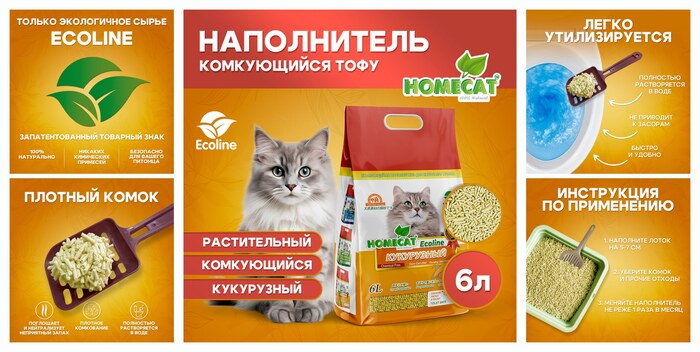 ����������� ����������� ���� HOMECAT ″�������″ ���������� 6 �