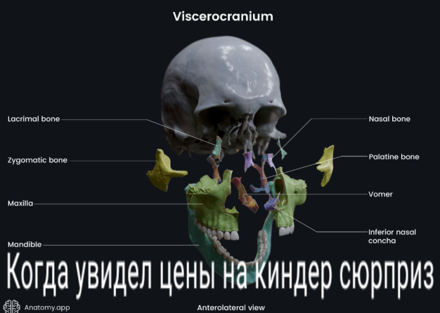 Челюсть отвисла