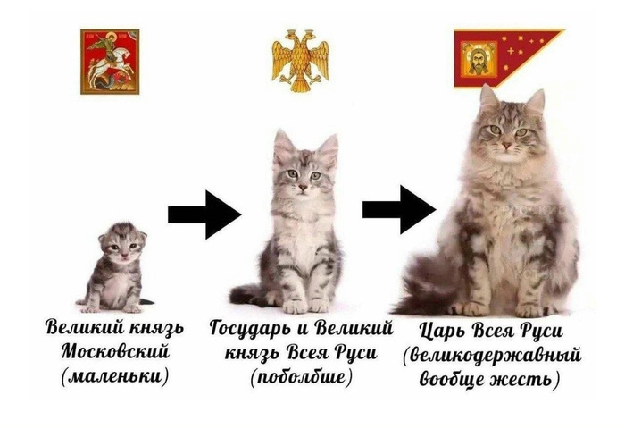 Очень приятно, царь