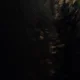 ����� ����� ������ ���� �����������