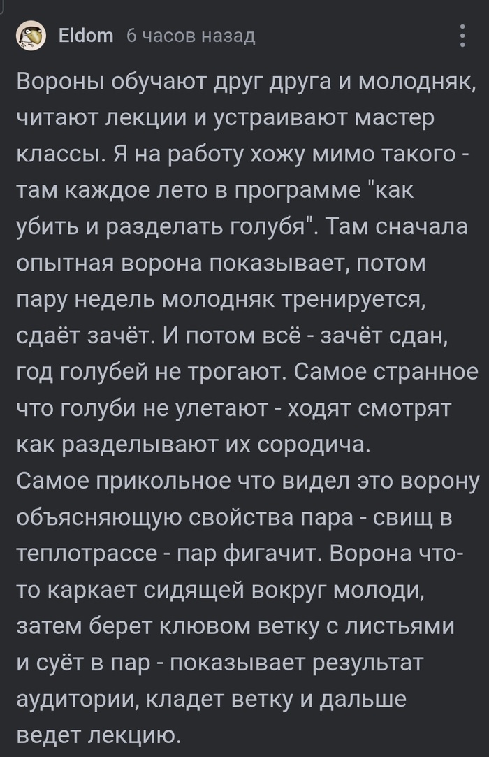 Обучение