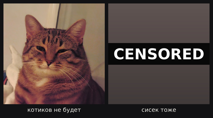 листай ленту дальше