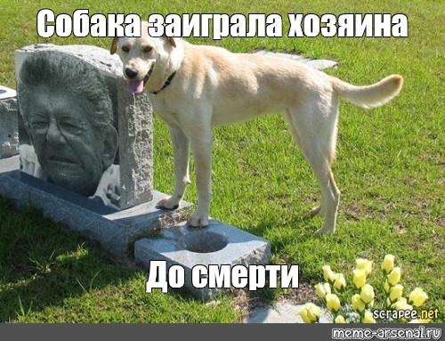 ����� �� ���� ����� �� ������� ��������� �� �������