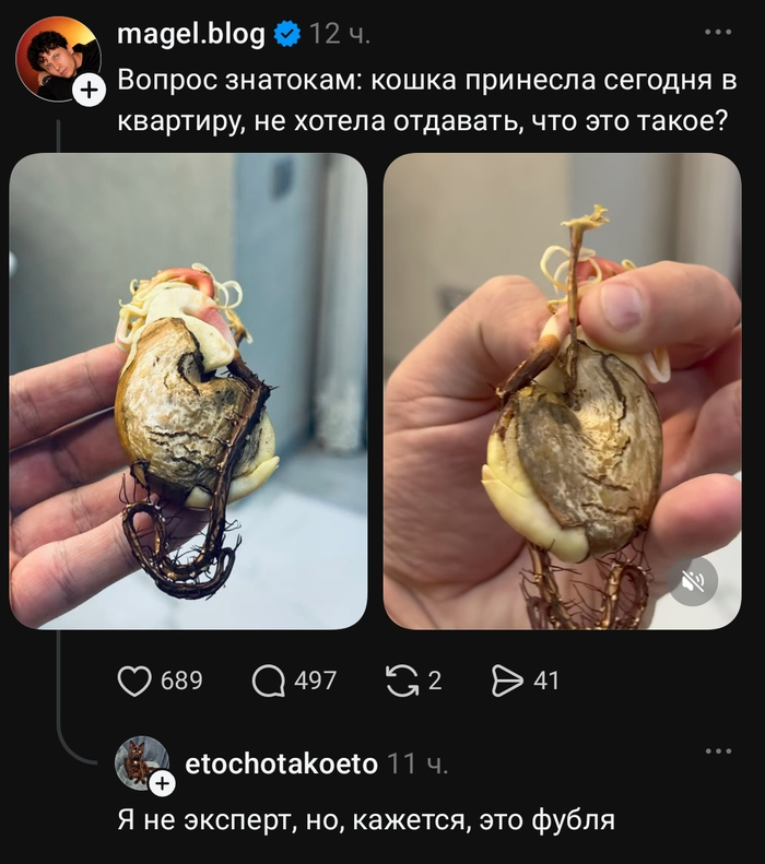 ����� ��������� - ���� � �����