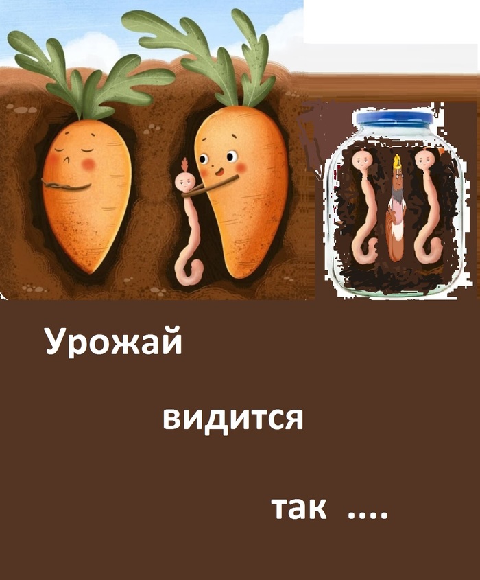 Ваши варианты...