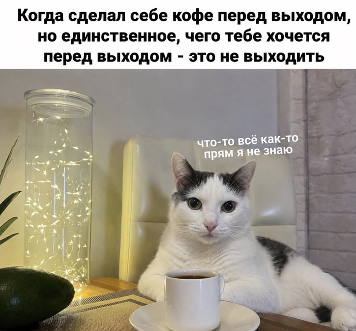 И так каждый понедельник
