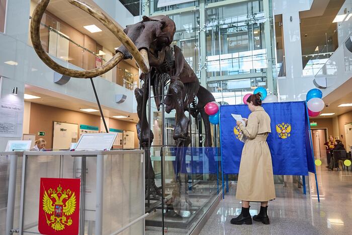 Лох не мамонт или Выборы состоялись