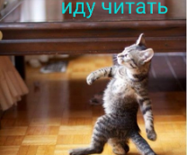 ���������� �5