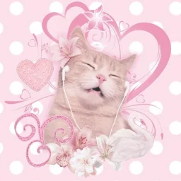 MeowkaMeow