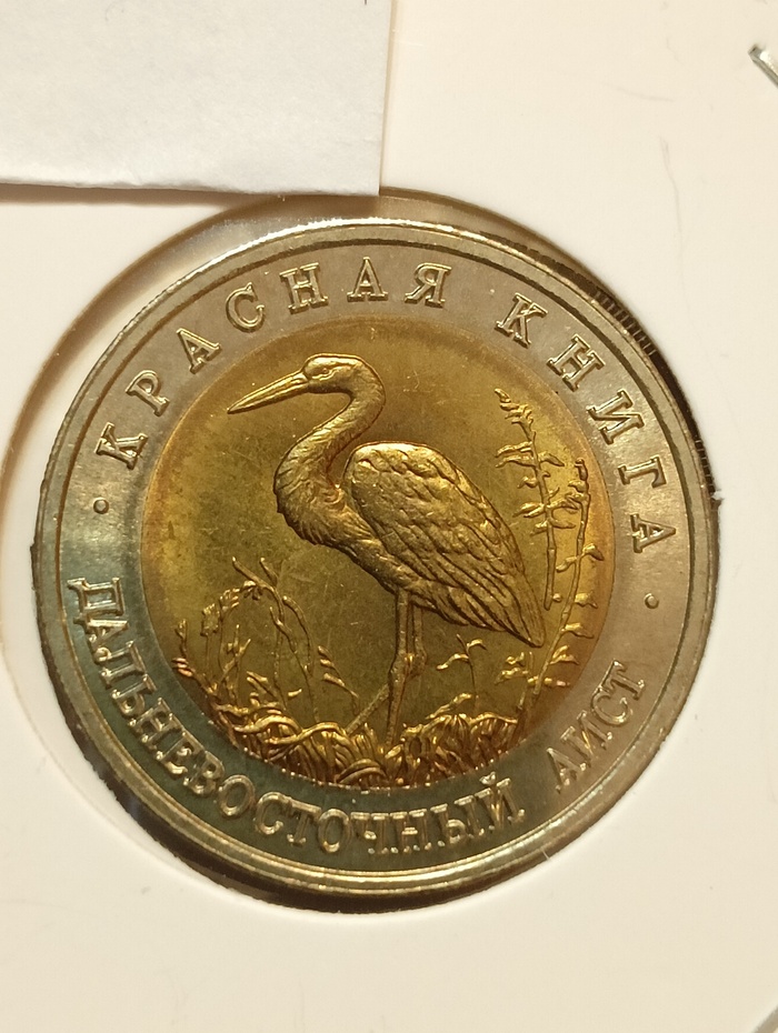 50 ������ 1993, ������� ����� - ��������������� ����