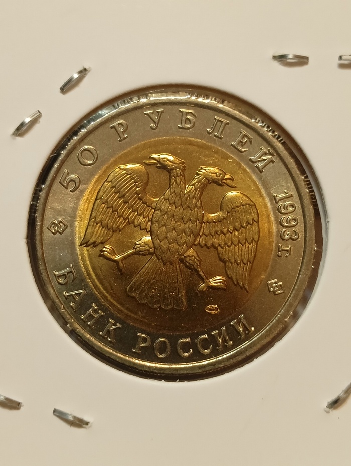 50 ������ 1993, ������� ����� - ����������� �������