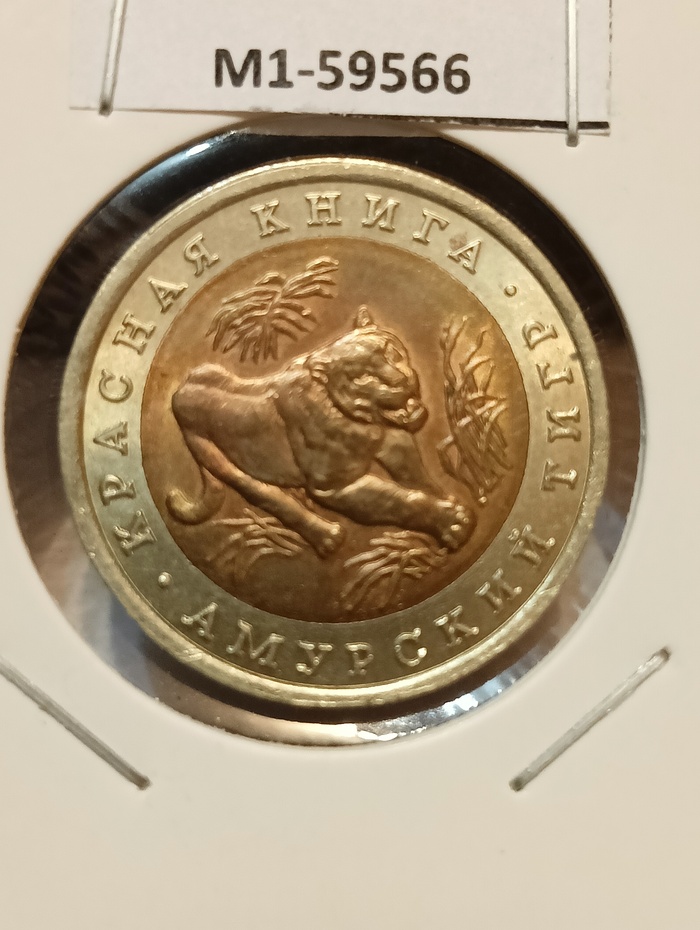 10 ������ 1992, ������� ����� - �������� ����