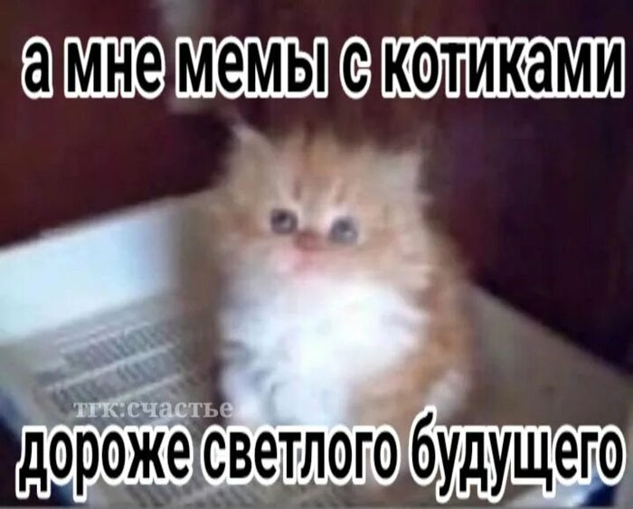 Кто верит в Бога для того Совесть вообще как догма.