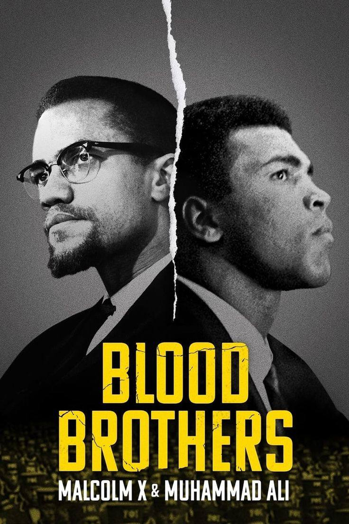 В 2021 от Netflix вышел фильм: Blood Brothers: Malcolm X & Muhammad Ali.