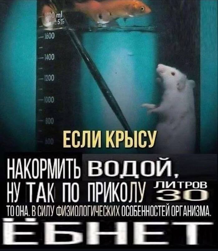 Вы знали??