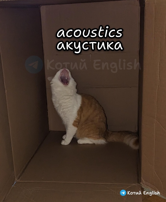 Акустика