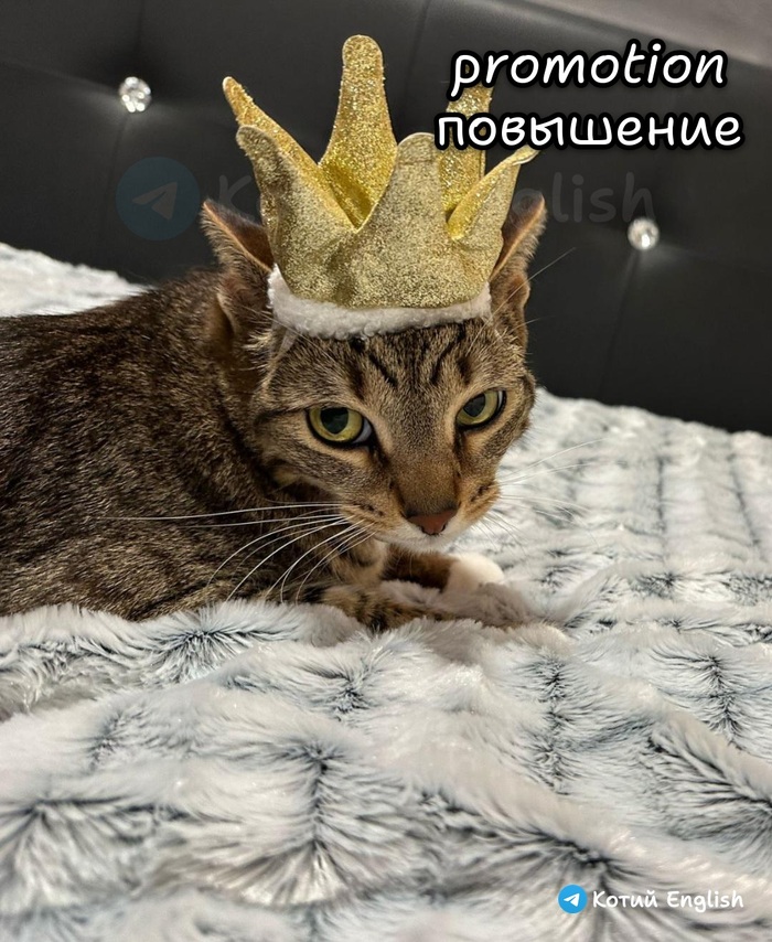 Повышение
