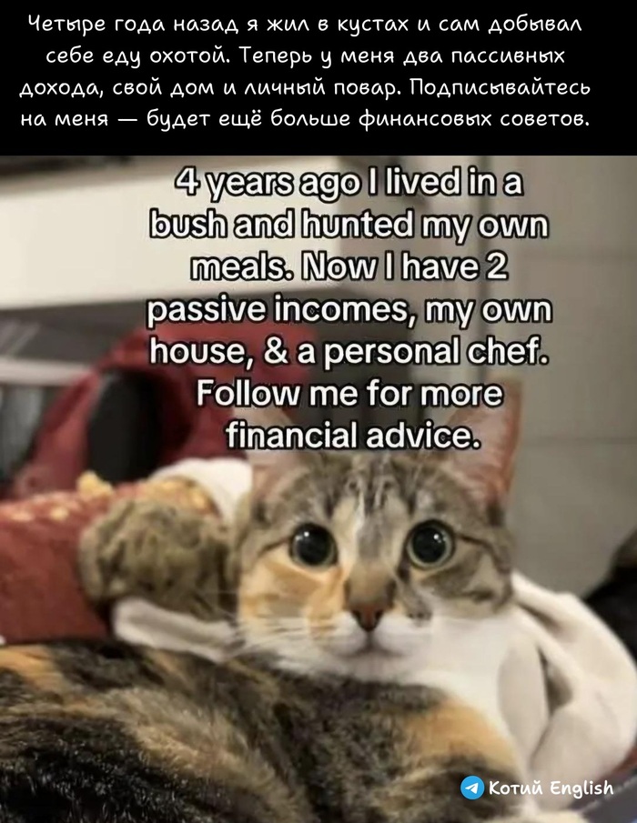 ���� � ������