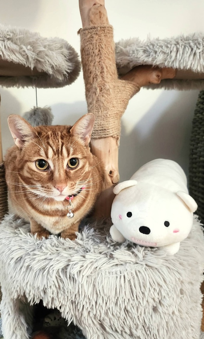 ��� 1
