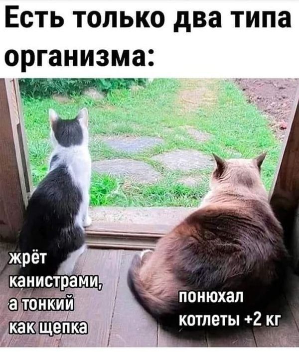 ����� ���������� �����