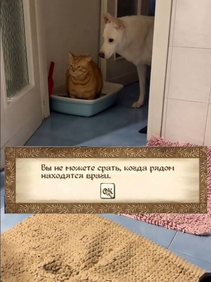 Враги рядом