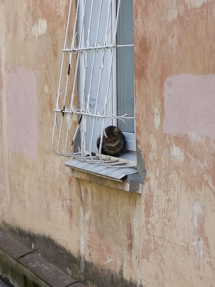 Мне кажется, ему не нравится