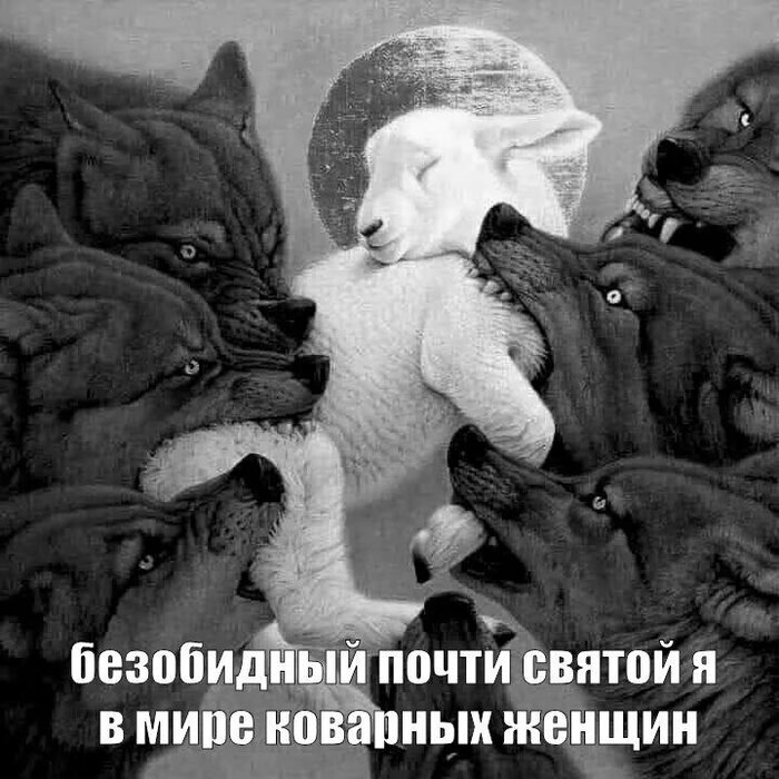 ����� �� ���� ����������!�