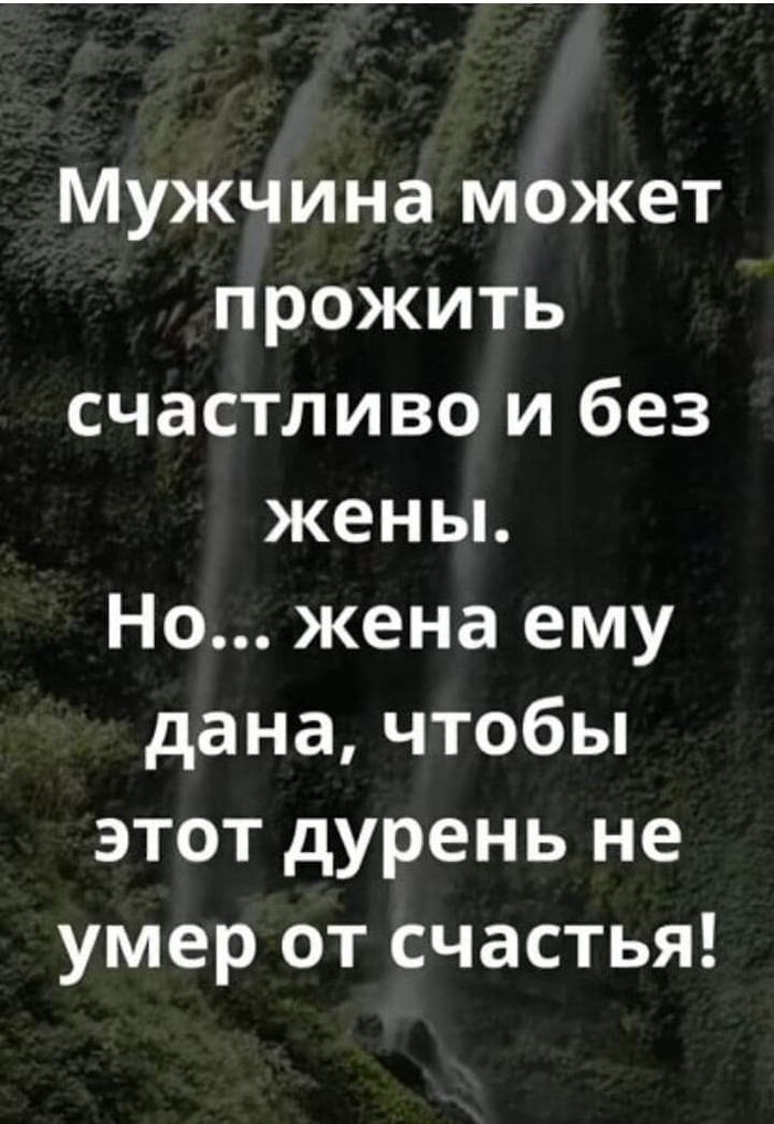 Ответ на пост «Жена»