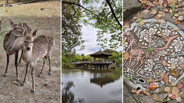 ����� � Nara Park, �������� Ukimido �� ����� � ��� � �������