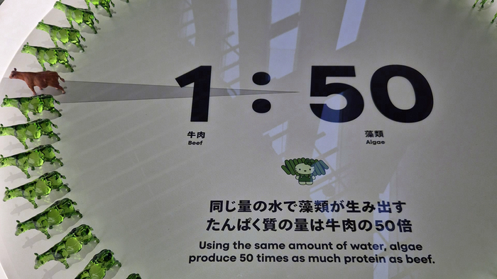 ����� � Japan Pavilion: ��������� ���� � 50 ��� ������ �����, ��� ��������