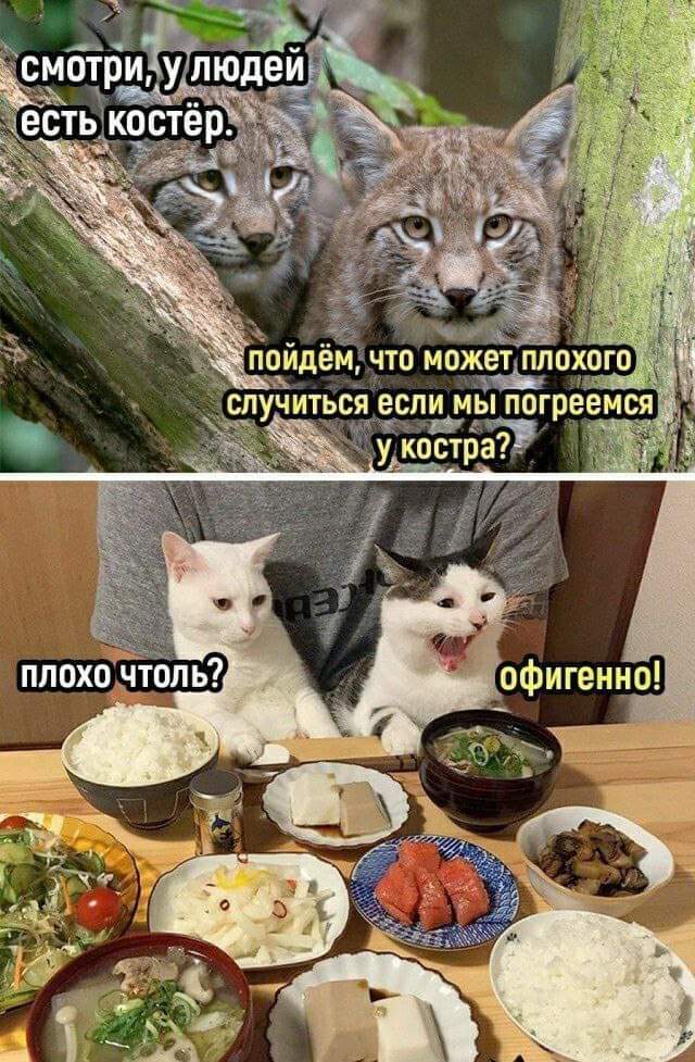 Мем