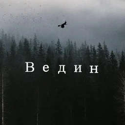 VedinAlexey