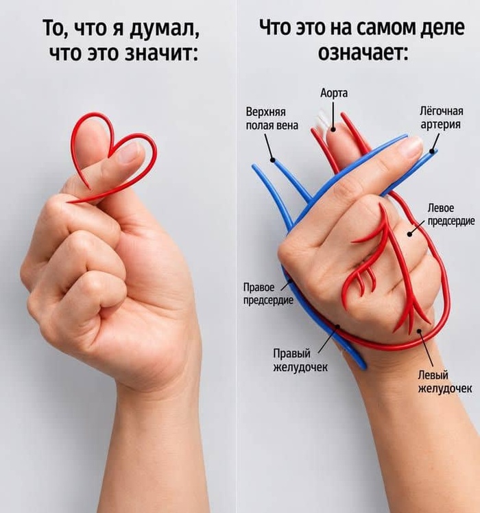 Для тех, кто не знал...