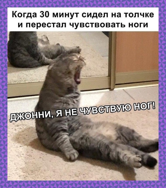 l6ml7lkv.jpg
