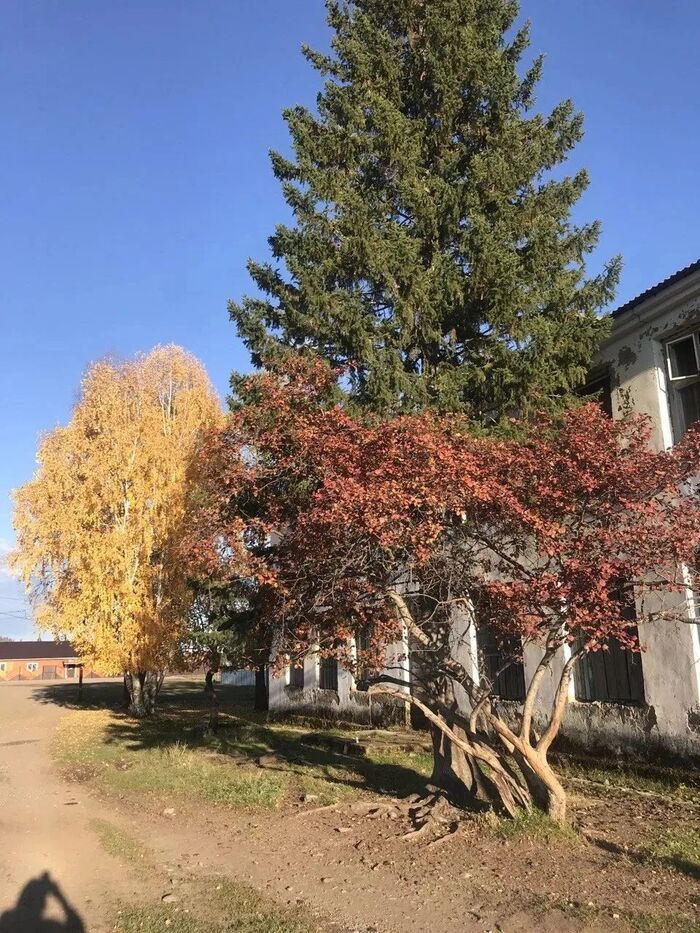Бурятия, село Хамней