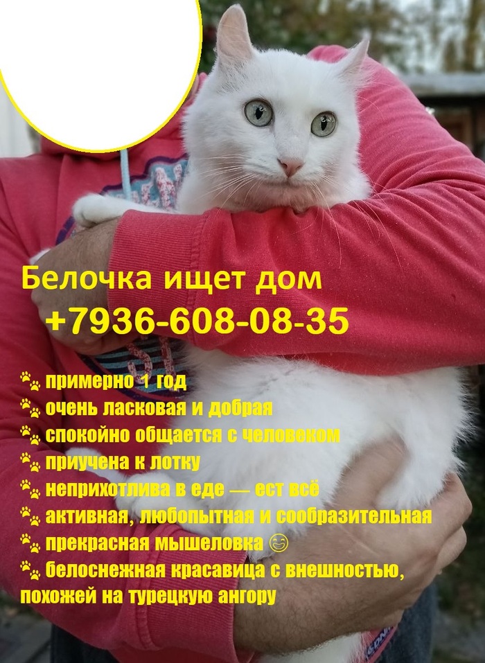 Нормально снять эту красотку можно только на ручках)