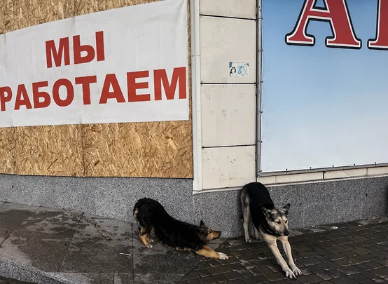 Его собачье дело