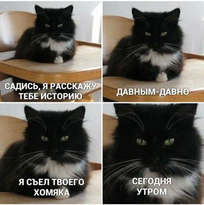 #ОЗ98