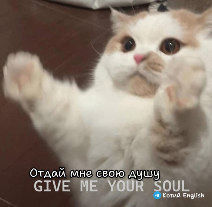 ���� �������