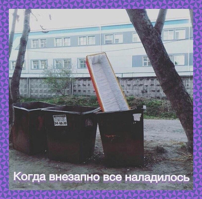 qy7l7qpg.jpg