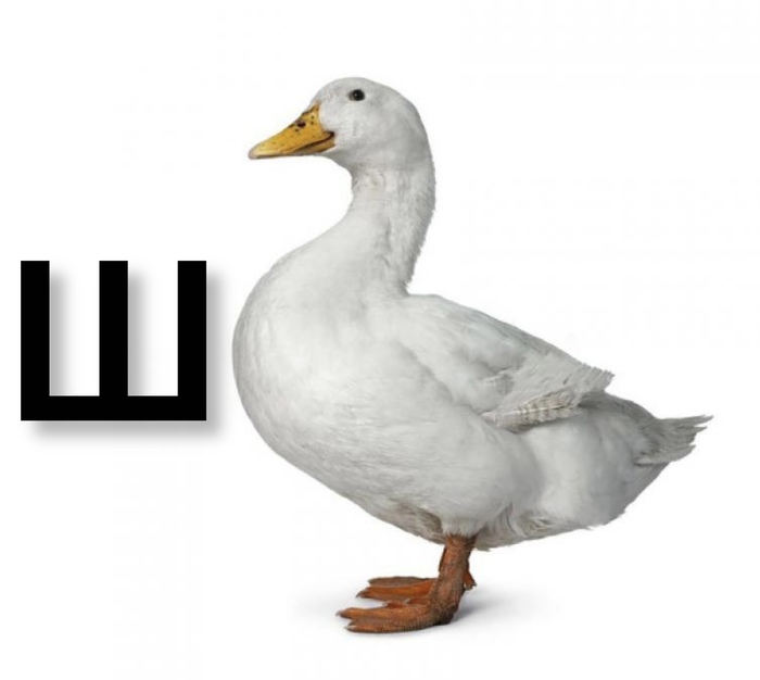 Шутка