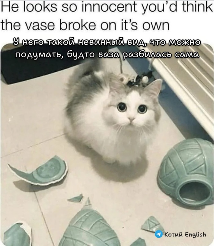 Версия событий
