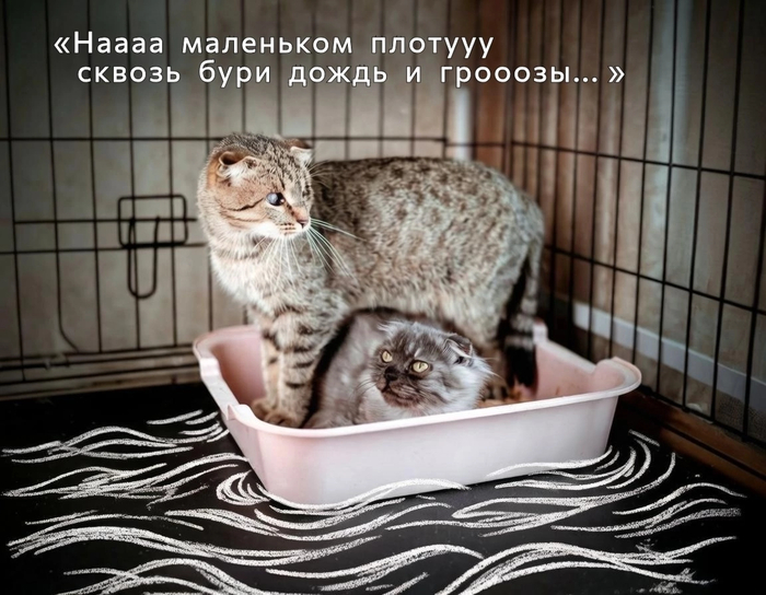 � � � � � � � � 