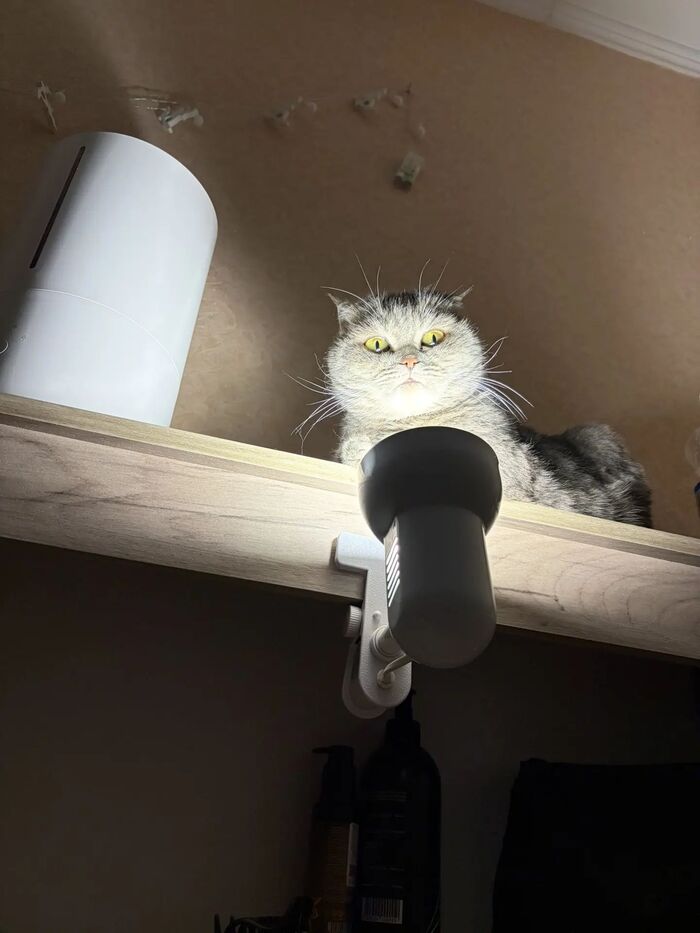 ��������� ������������