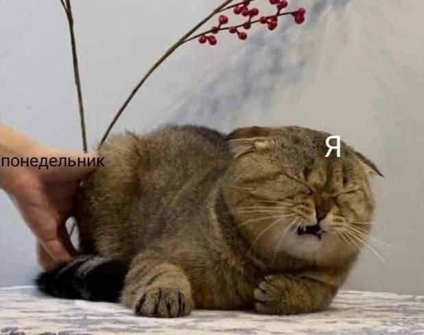 Кусь