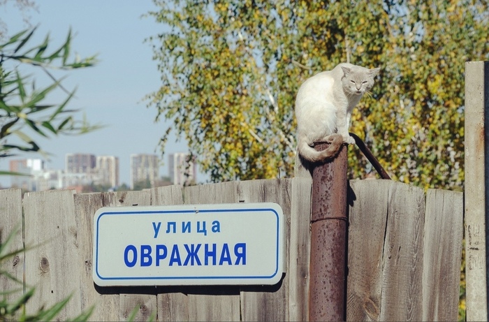 Вы кто такие?