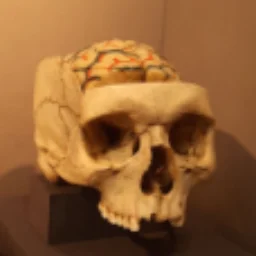 IoSono