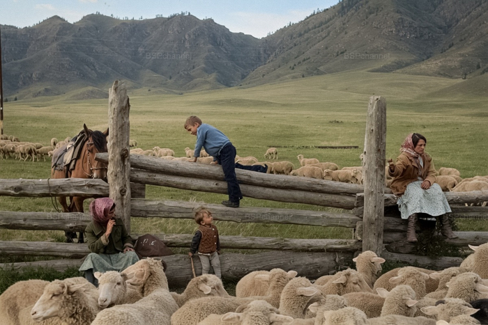 Фотограф: Владимир Соколаев