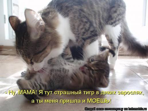 Ответ на пост «Недовольничает»
